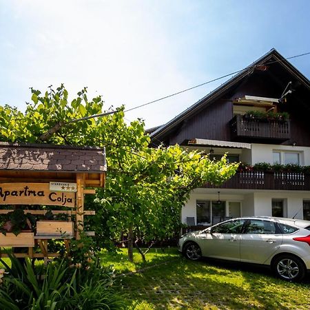 Apartmaji Colja Bohinj Exterior foto